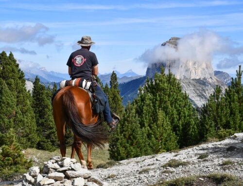 5 randonnées à faire à Vassieux-en-Vercors