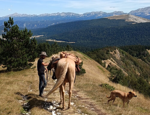 Top 5 des choses à faire à Vassieux-en-Vercors pendant votre séjour