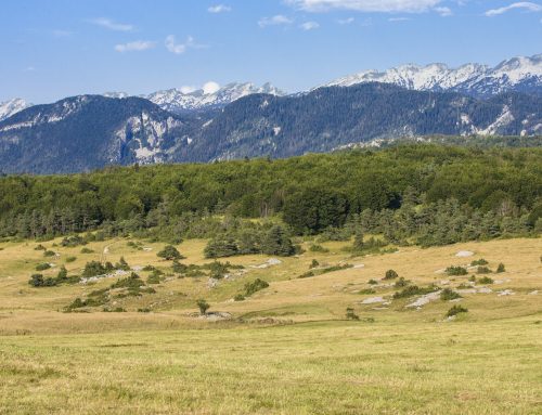 Que faire à Vassieux-en-Vercors : mémorial 1944, Résistance et nature