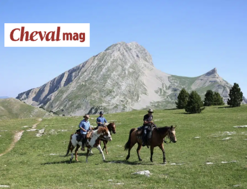 Randonnée à cheval dans le Vercors : Cheval Mag au Ranch Pow Grayon